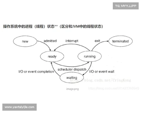 全面掌握坎贝尔位置运用详解与实战技巧全方位提升策略指南教程篇 全面掌握坎贝尔位置运用详解与实战技巧全方位提升策略指南教程篇