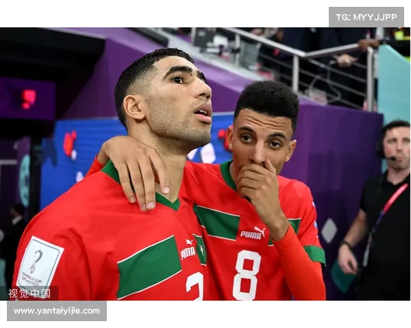 巴舒亚伊语言运用特点及其对个人形象与文化传播的影响分析